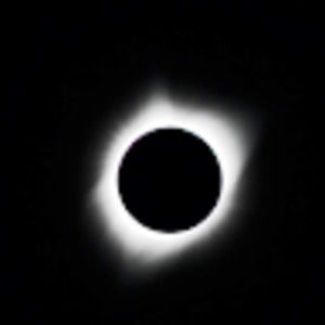 Meet your Posher, Nate